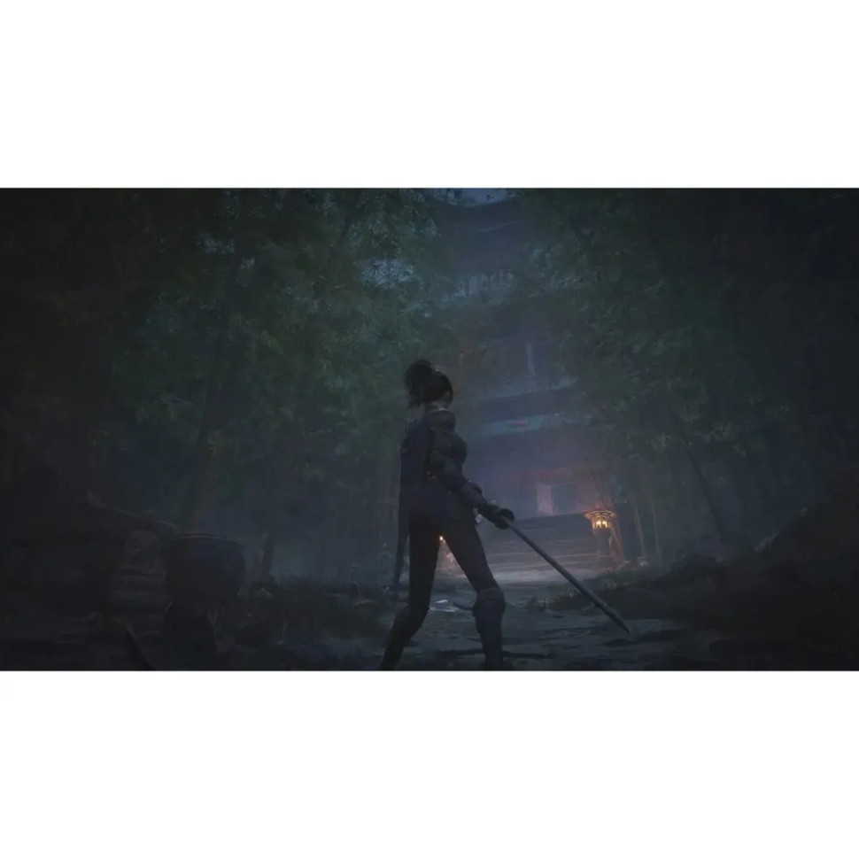 Игра Wuchang: Fallen Feathers (PS5) б\у, Субтитры на русском