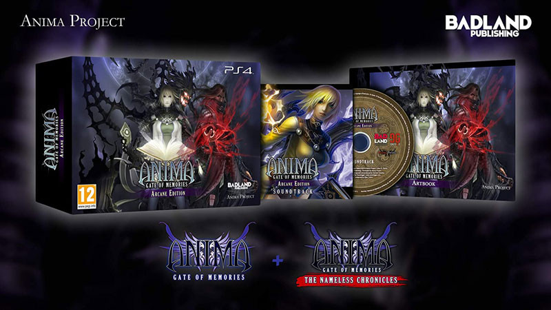 Игра Anima: Gate of Memories - Arcane Edition Полностью Английский купить за 3199.0000
