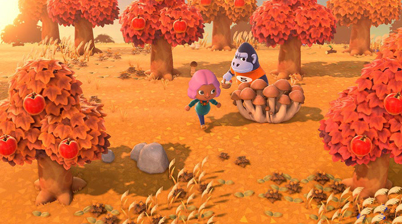 Игра Animal Crossing: New Horizons (Nintendo Switch) б/у, Полностью Русский