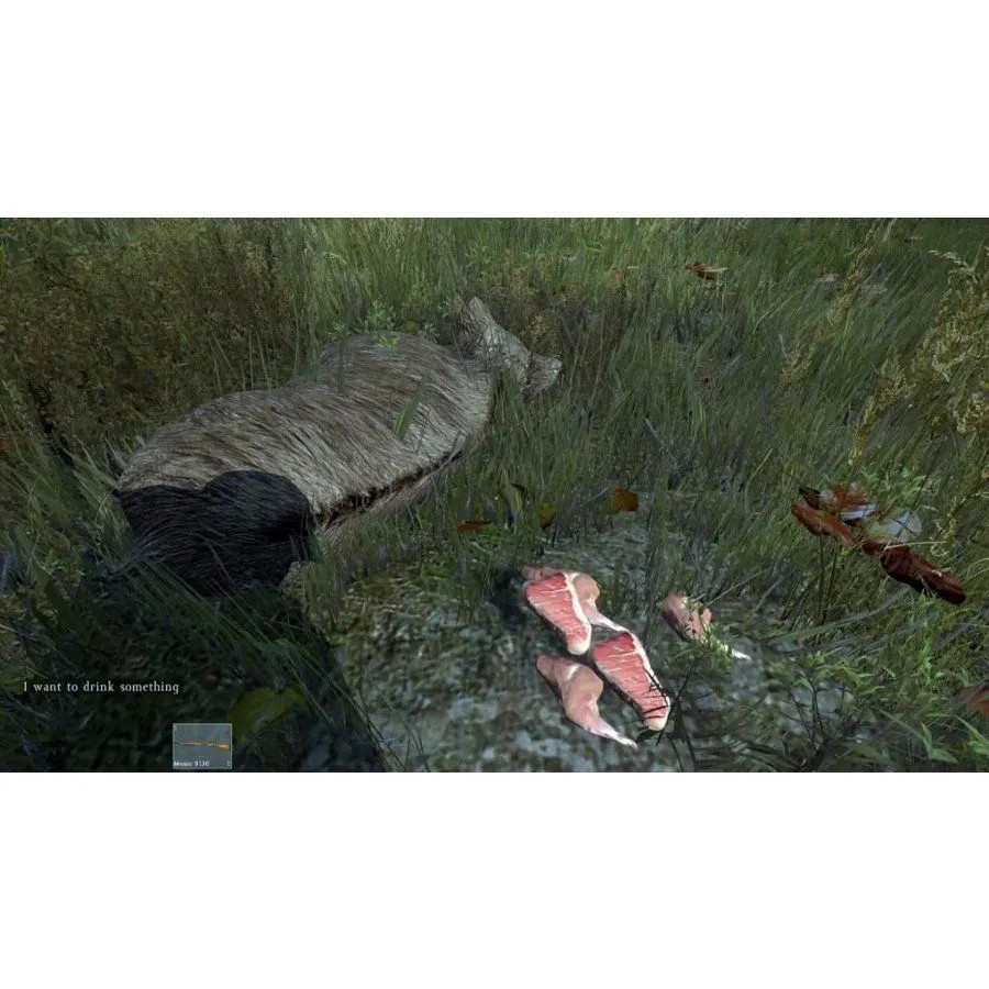 Игра DayZ (PS4) Полностью на русском