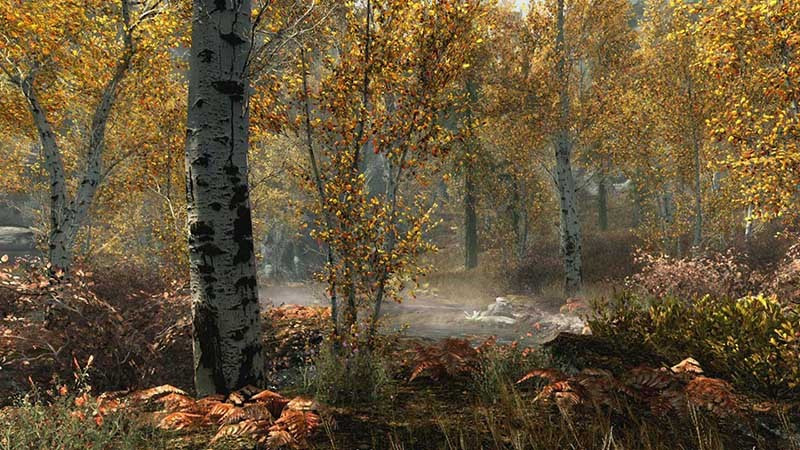 Игра The Elder Scrolls V Skyrim (Xbox one) б/у, Полностью Русский