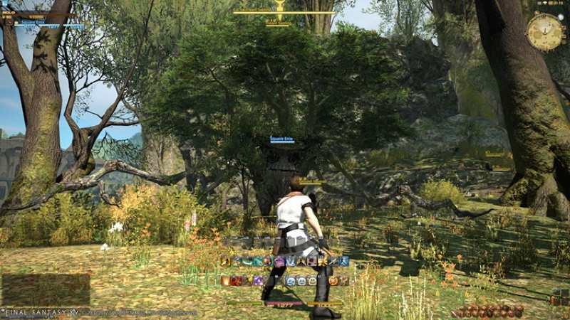 Игра Final Fantasy XIV Online: A Realm Reborn (PS3) б/у, Полностью Английский