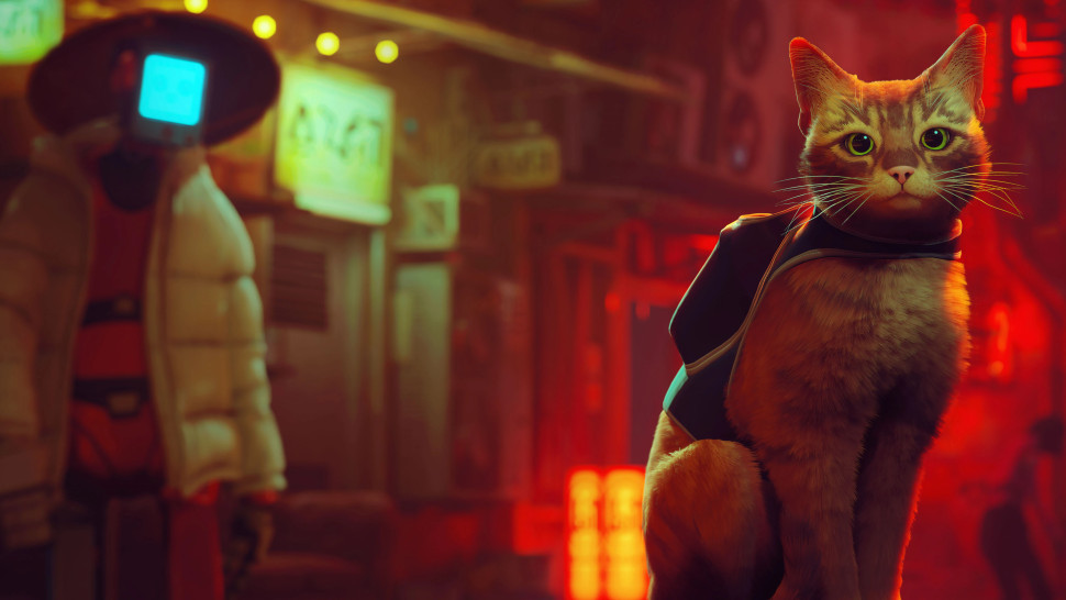 Игра Stray (PS5) б/у, Русские Субтитры