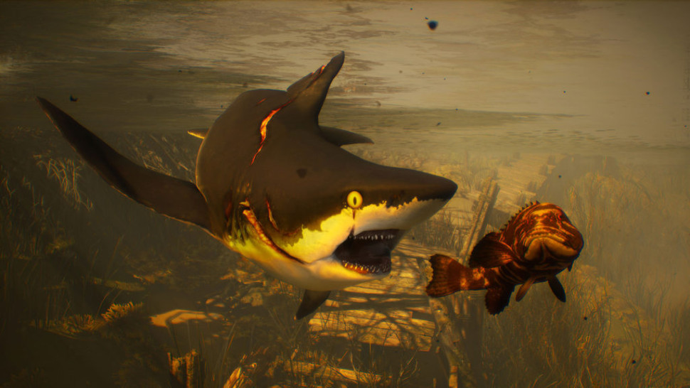 Игра Maneater (Xbox One) Полностью Русский