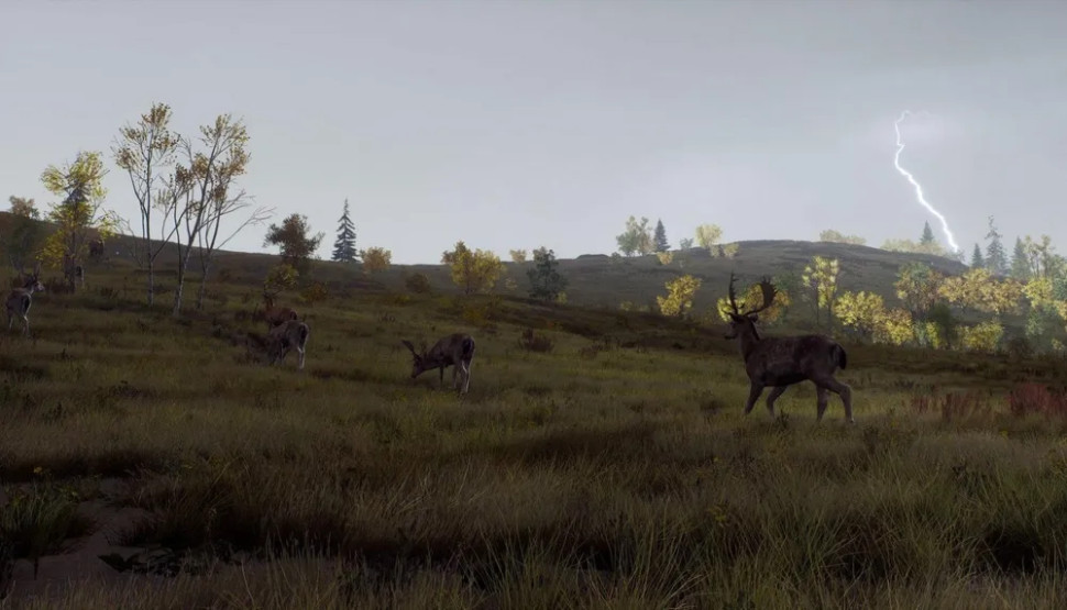 Игра Way of the Hunter Wild Expeditions (PS5) б\у, Субтитры на русском