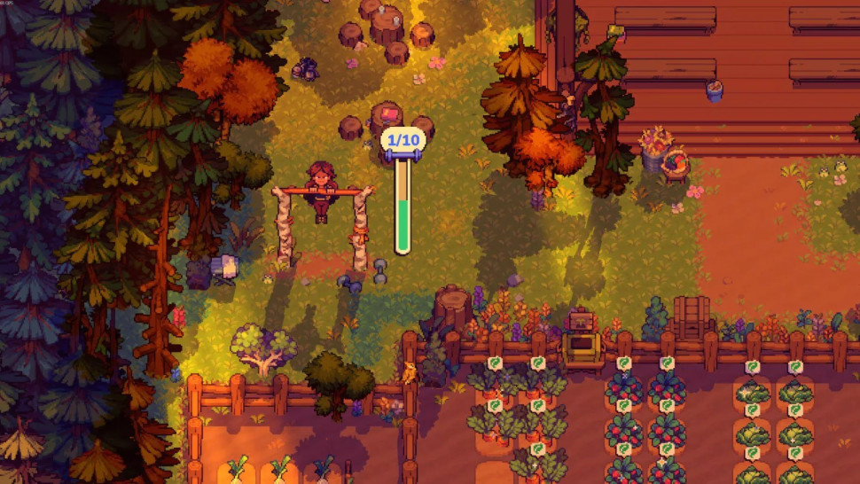 Игра Farming Camp (PS5) Полностью на английском